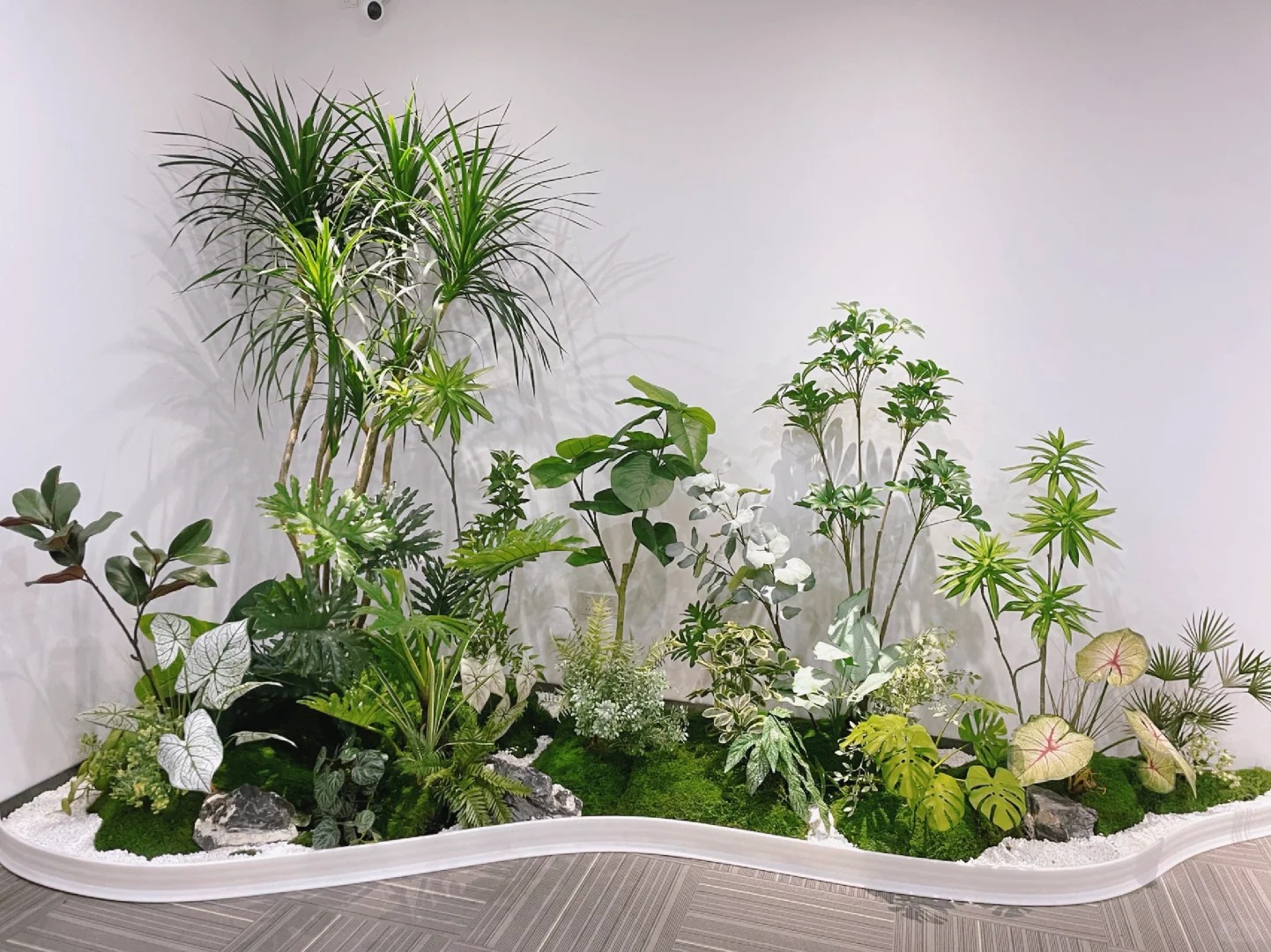 专业引领，宁波盆景租摆别样精彩